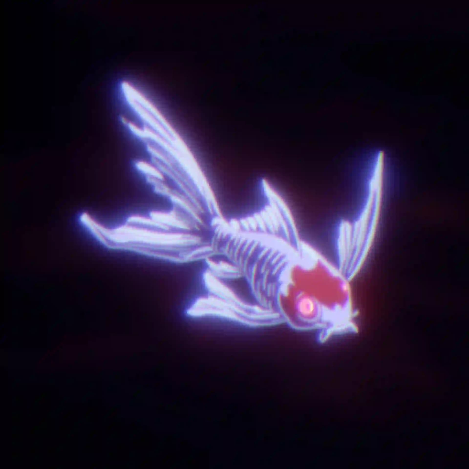 Spirit Koi Translucent Fish