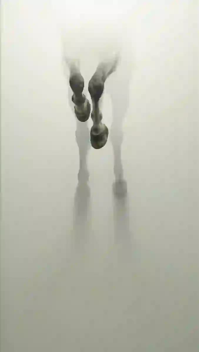 Horse Hooves Through Frosted Glass