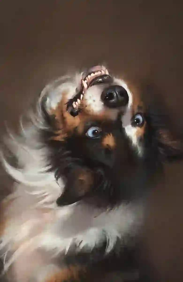 Surreal Border Collie Portrait