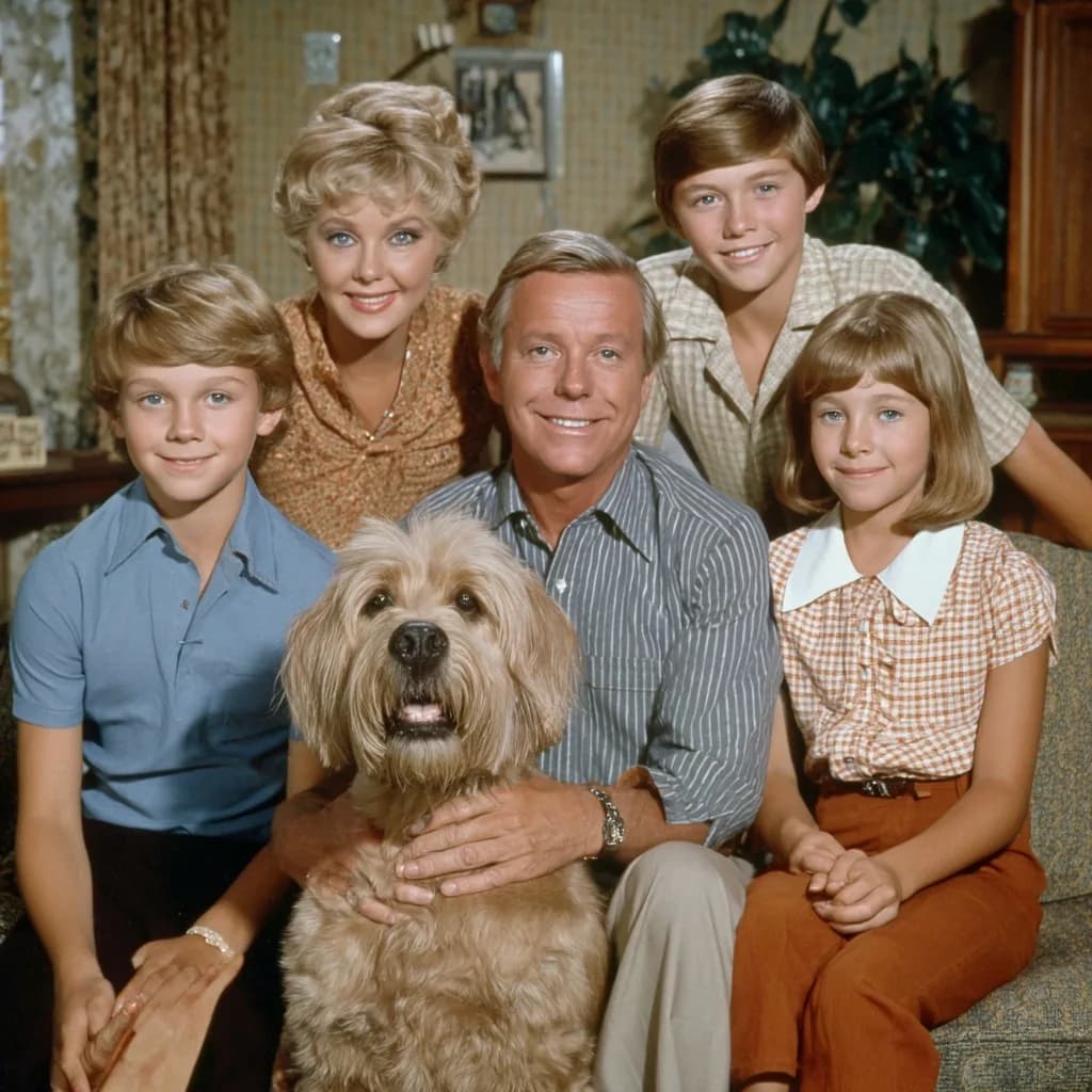Brady Bunch Family Sitcom Ad