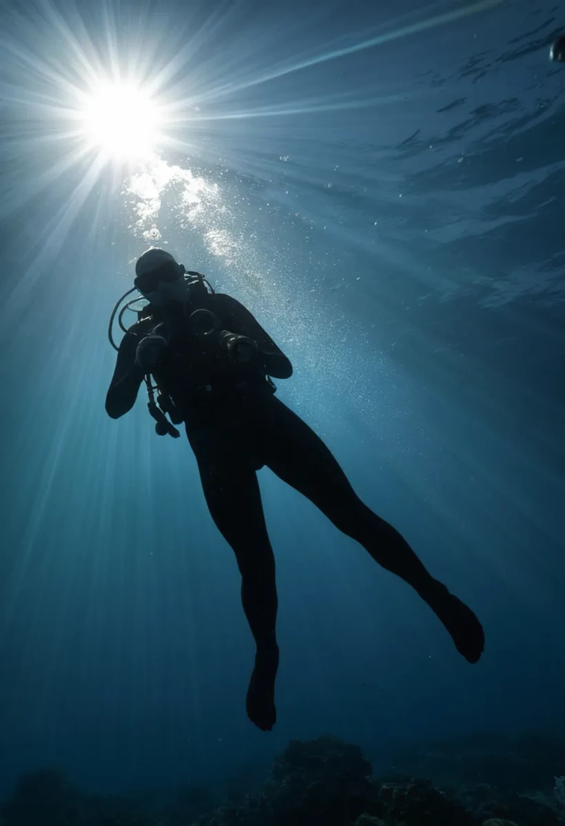 Underwater Scuba Diver Scene
