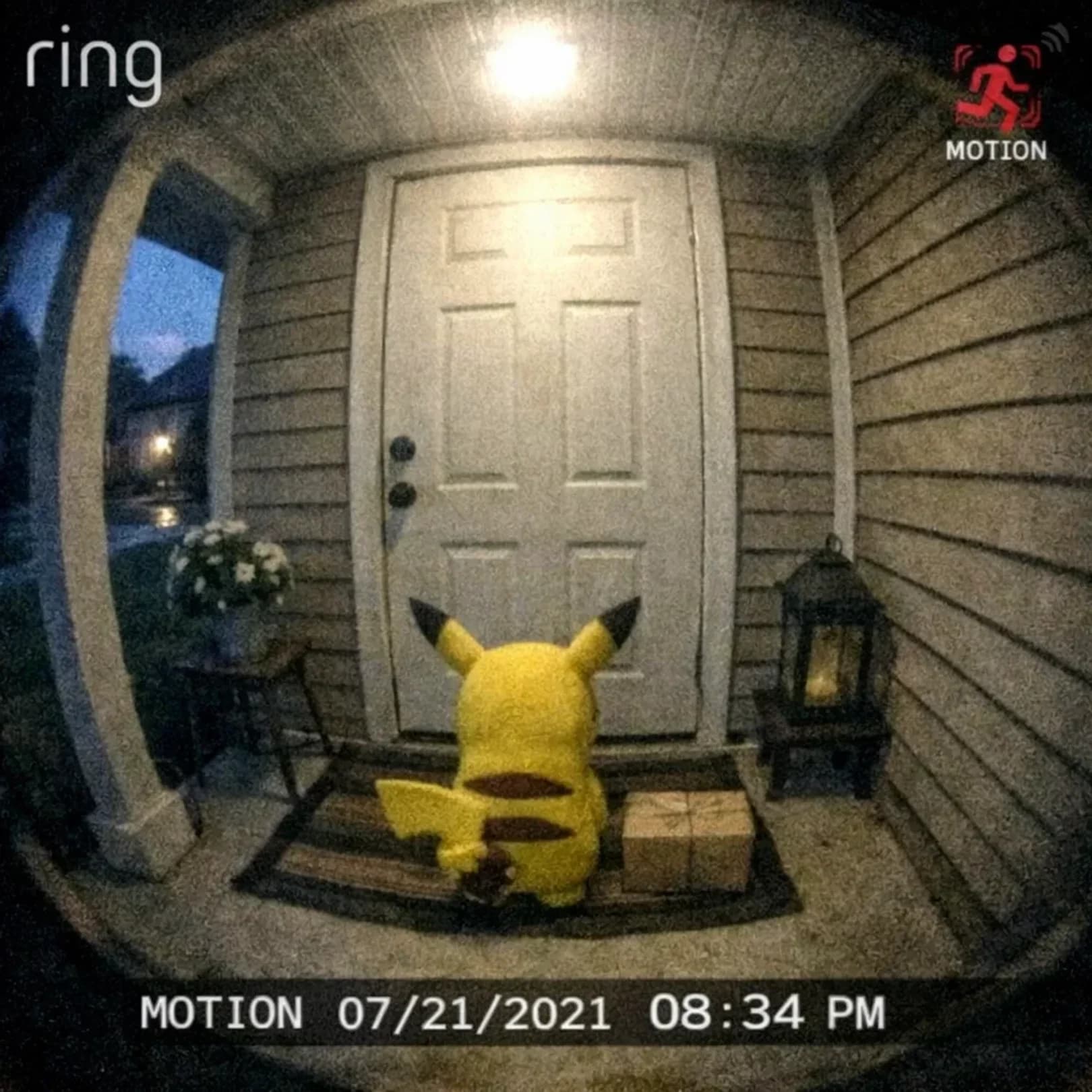 Ring Doorbell Surveillance Scene