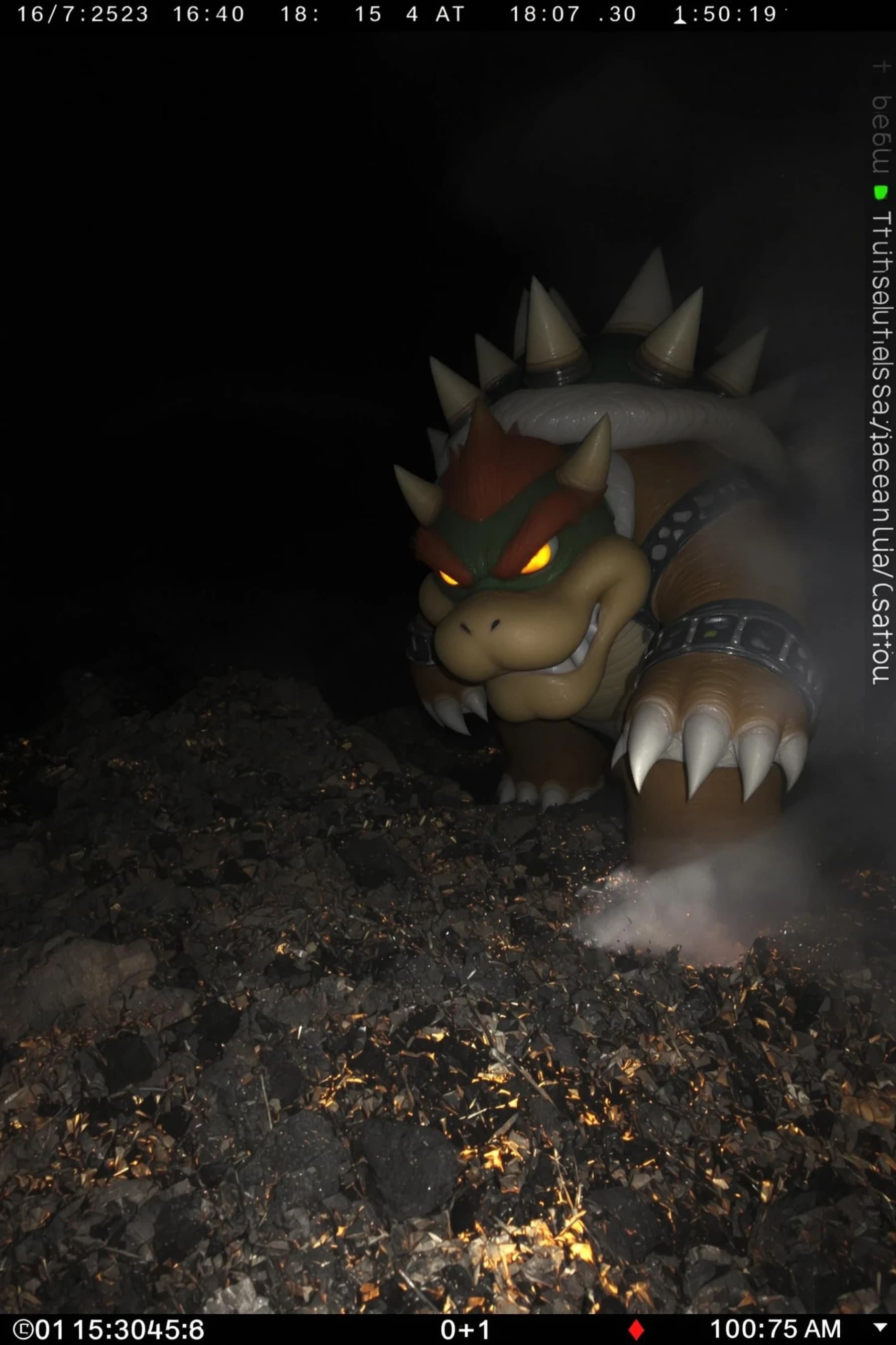 Grainy Trail Cam Bowser